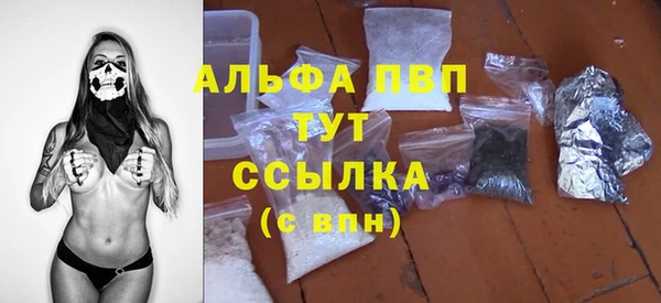 дживик Туринск