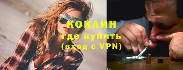 сатива Тобольск