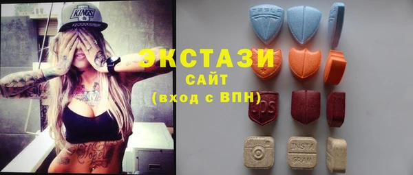 дживик Туринск