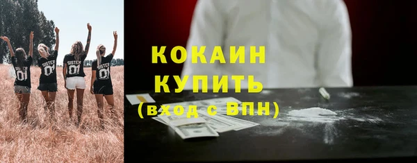 дживик Туринск