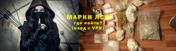 сатива Тобольск