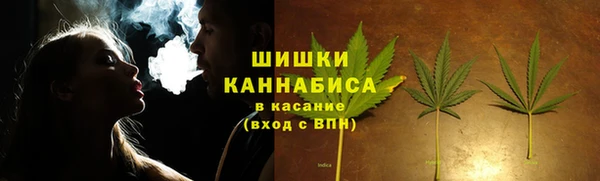 сатива Тобольск