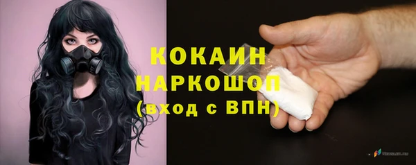 дживик Туринск