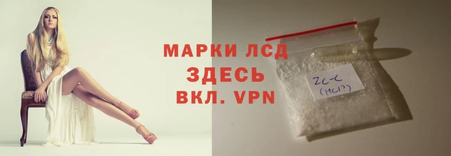 apvp Тында