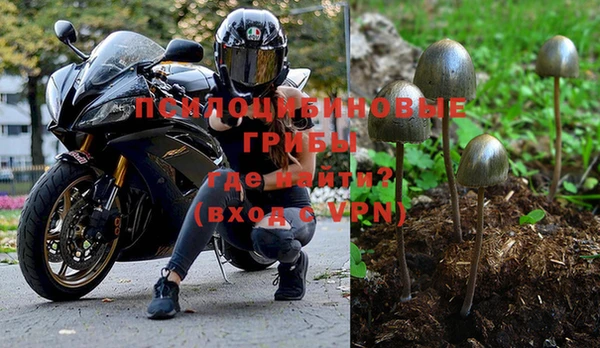 apvp Тихорецк