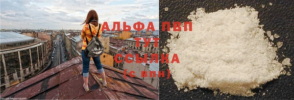 дурь Тутаев