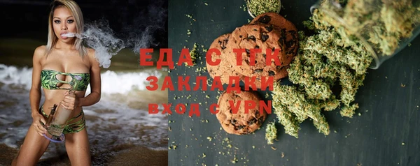 дживик Туринск