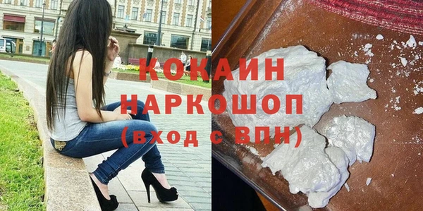 дживик Туринск