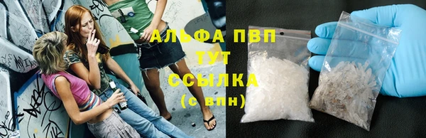 сатива Тобольск